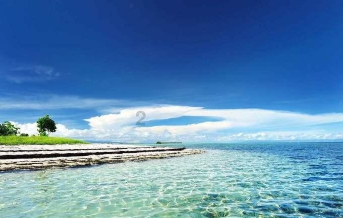 2024年海南雨林大叶茶品牌推介及产销对接招商洽谈活动在京举行