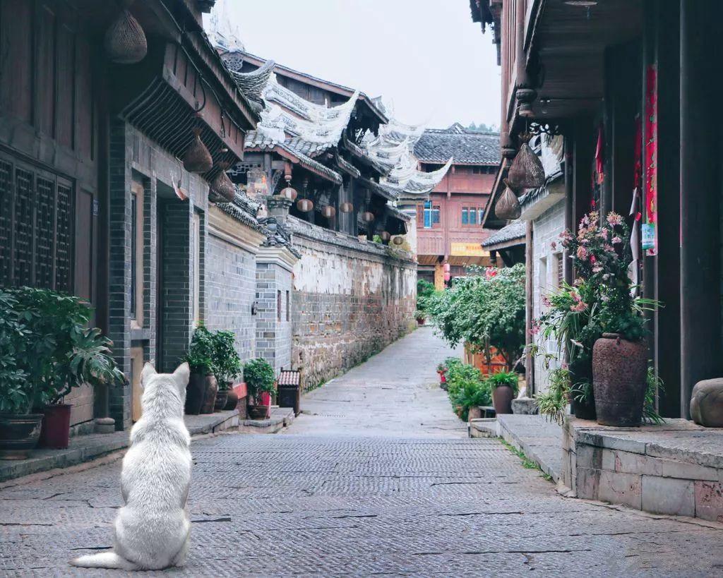 如何永久删除360“已删除文件恢复区”的文件游戏画面